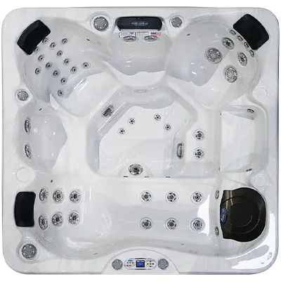 Avalon EC-849L hot tubs for sale in Medford