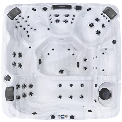 Avalon EC-867L hot tubs for sale in Medford